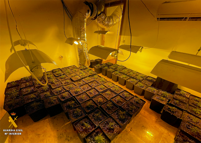 22 plantacion almeria