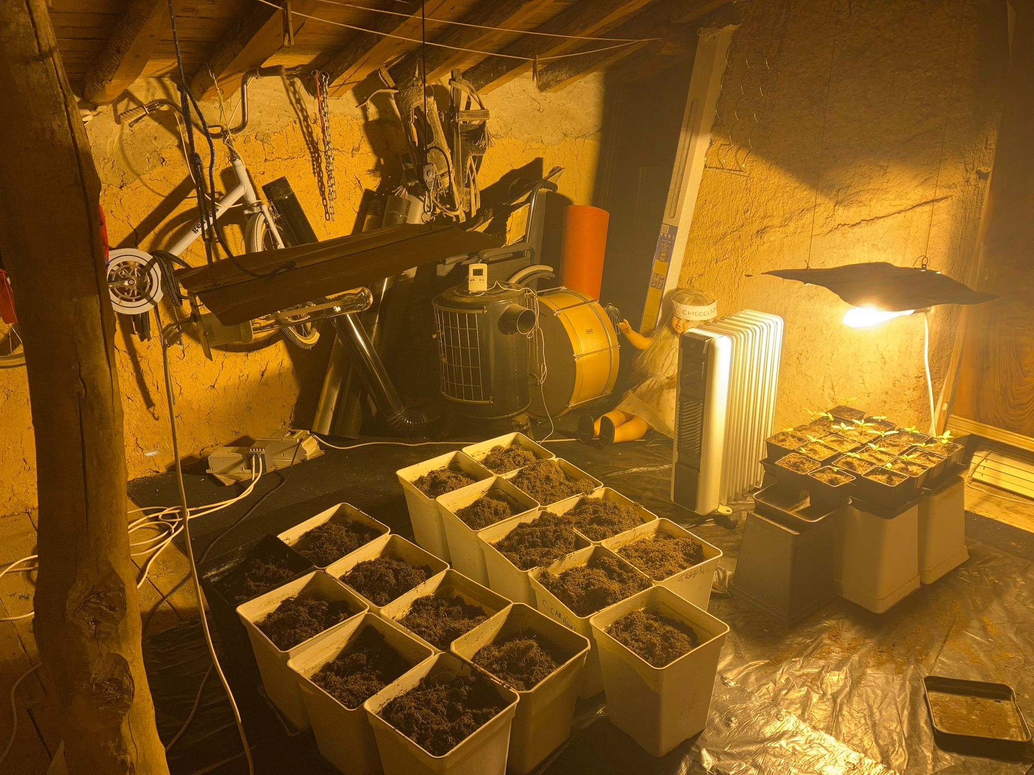 221130 operacion Mazo