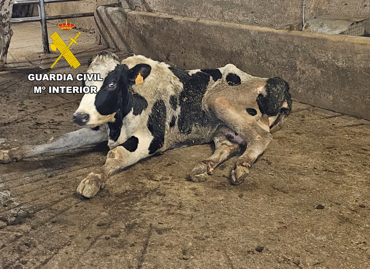 260527.4