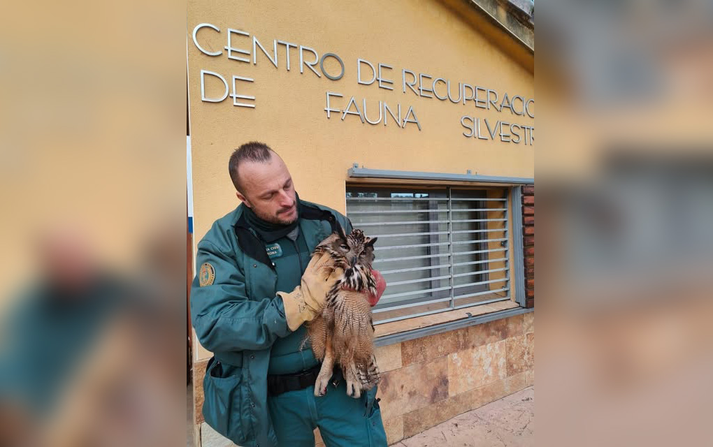 601816144 1183266217328563 1085284987419199467