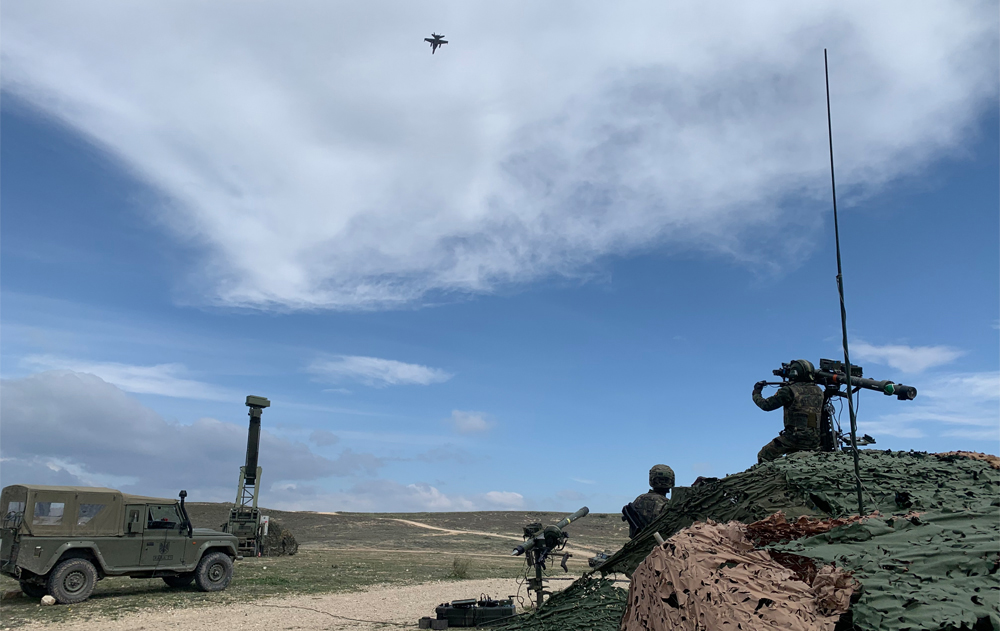 8910 adiestramiento mistral