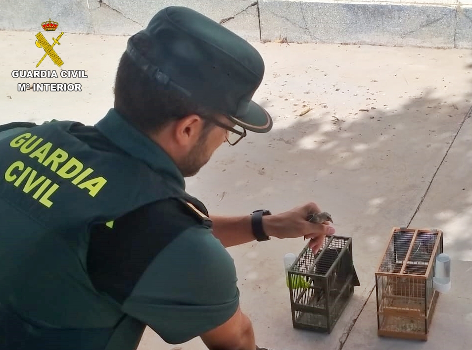 ARTES PROHIBIDAS 3