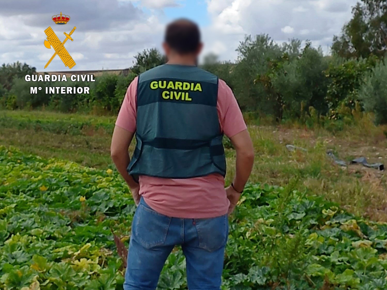 Agente de la Guardia Civil en una explotación agrícola