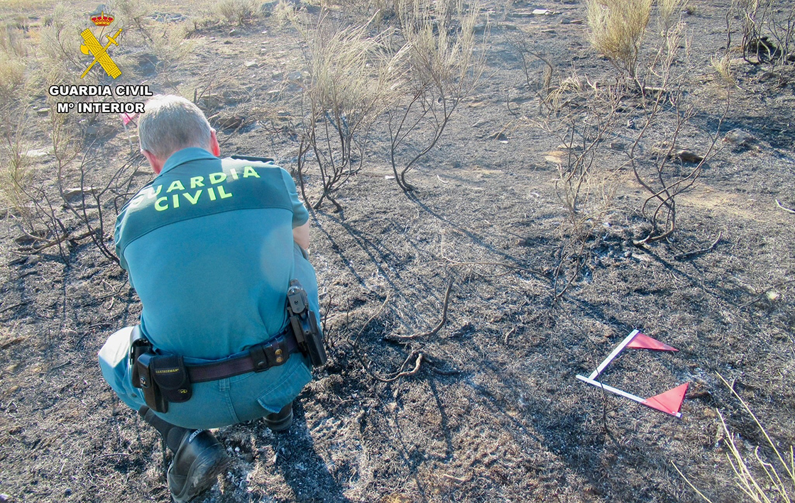 Agente del SEPRONA en el lugar del incendio