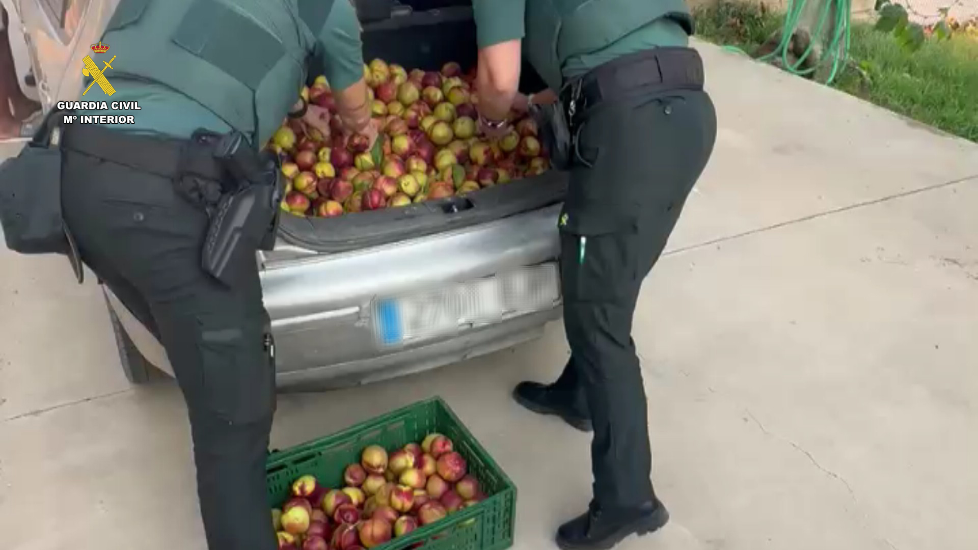 Aldeanueva robo de fruta 3
