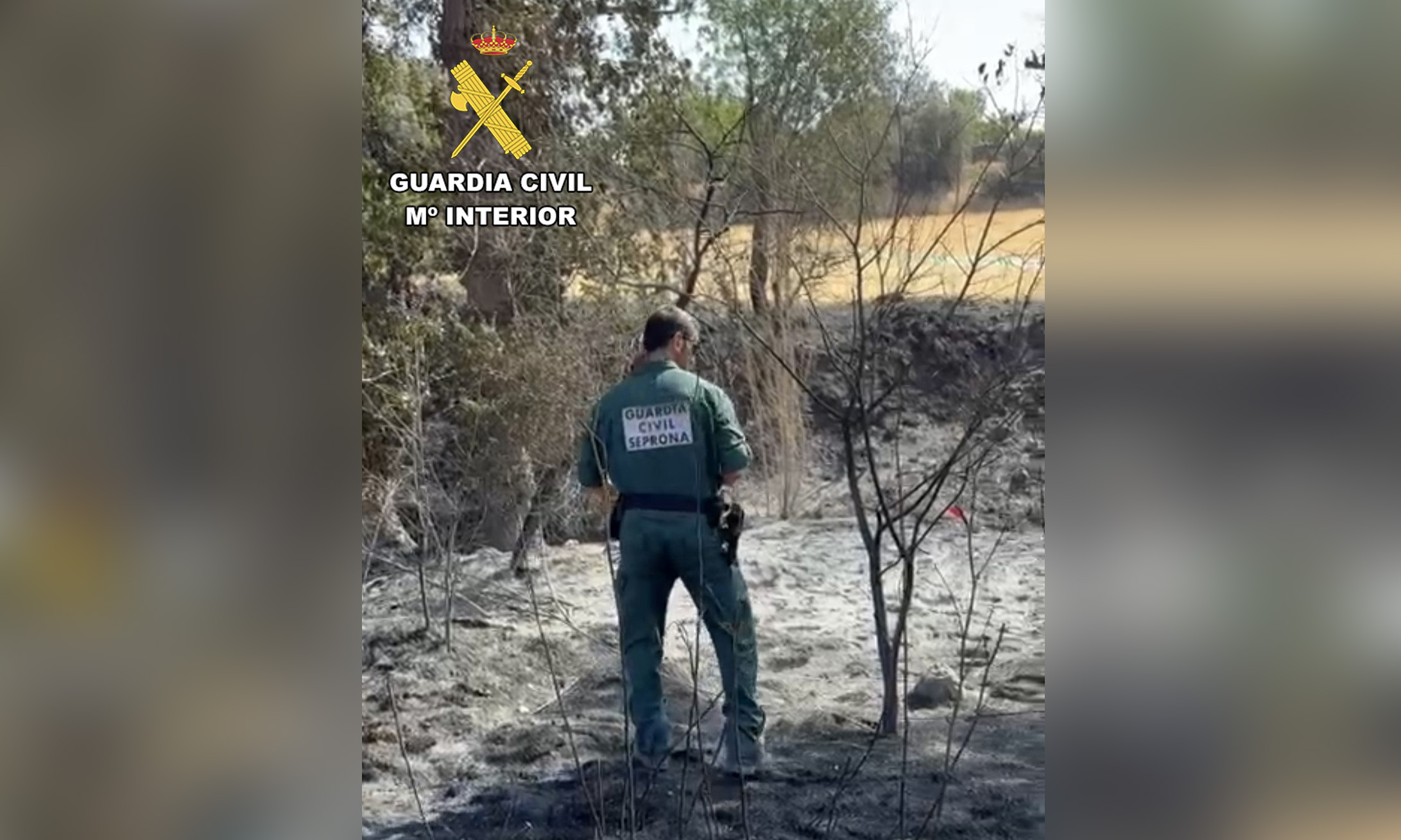 Archivo incendio seprona copia