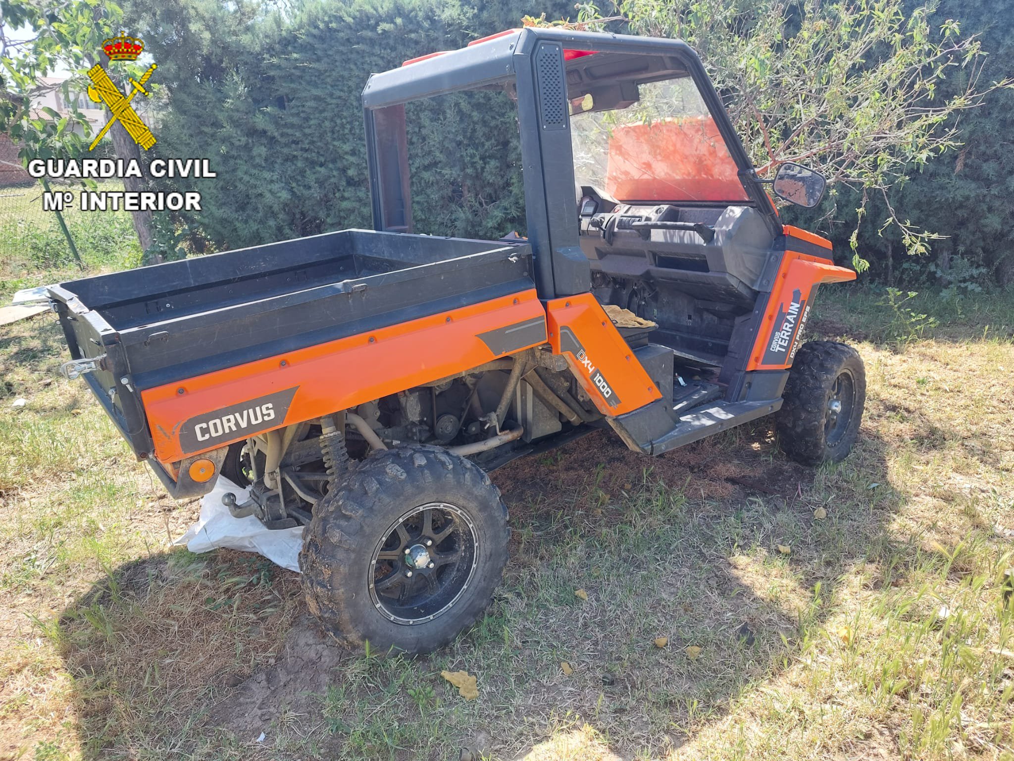 Buggy sustraído