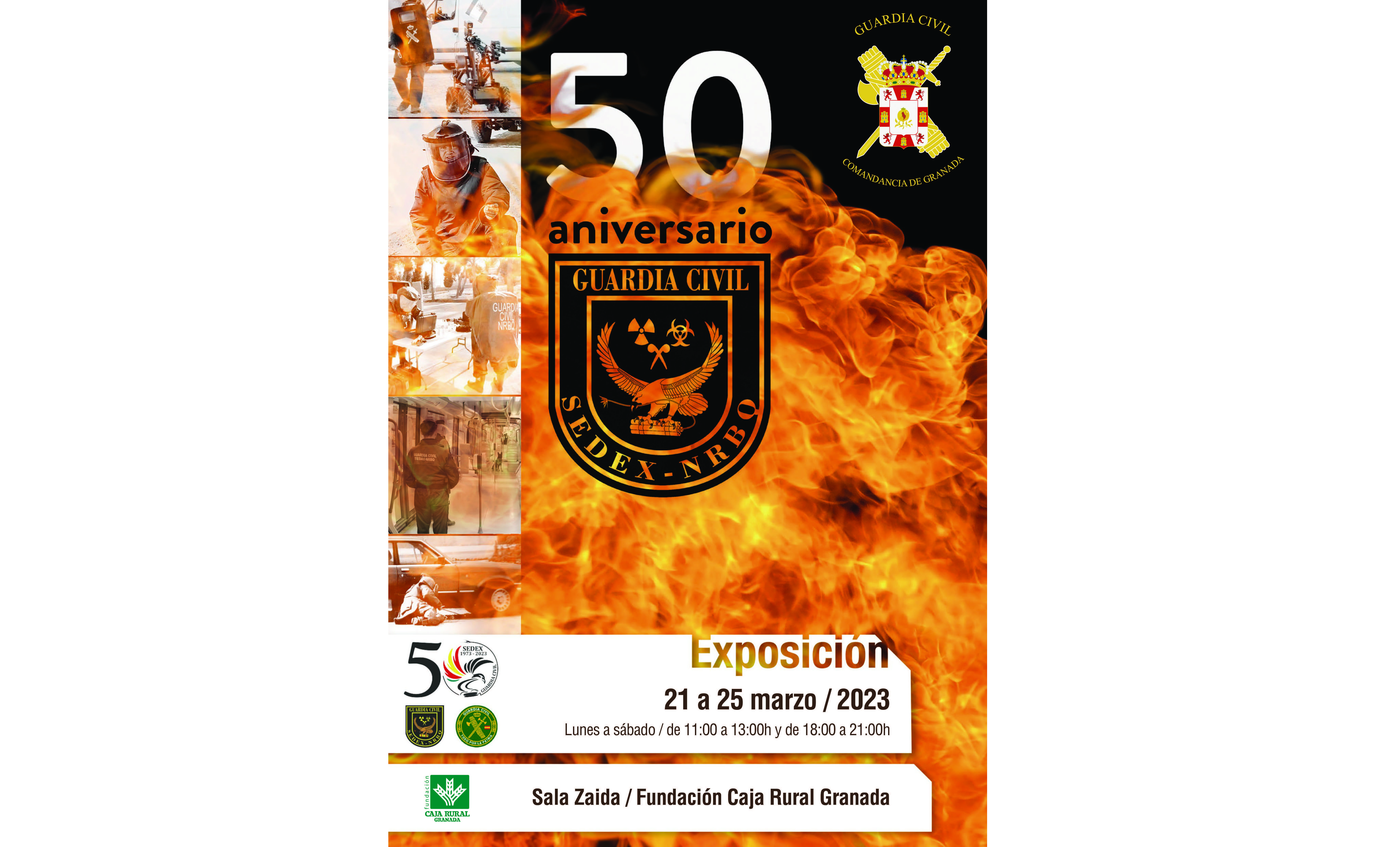 CARTEL TEDAX GRANADA