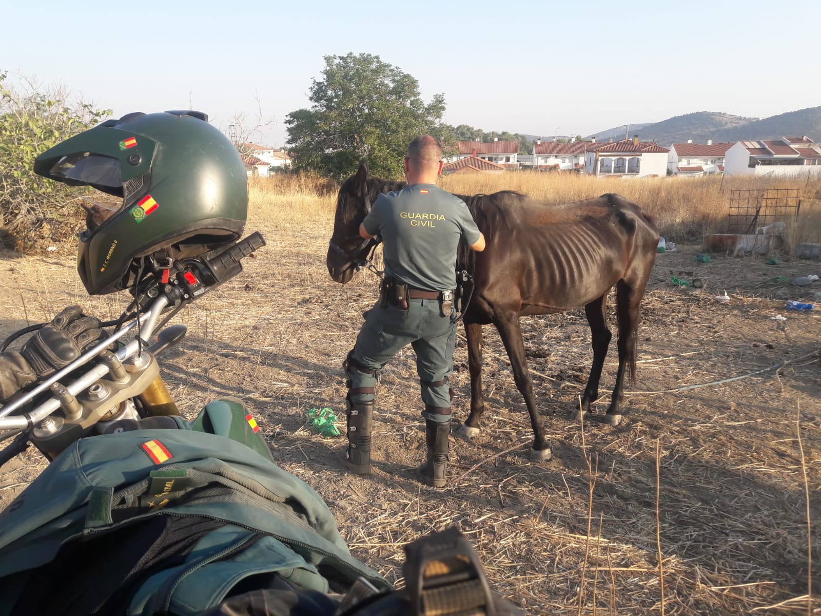 Caballo