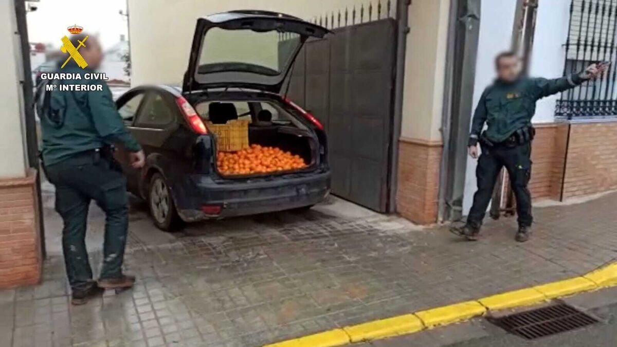 mossos