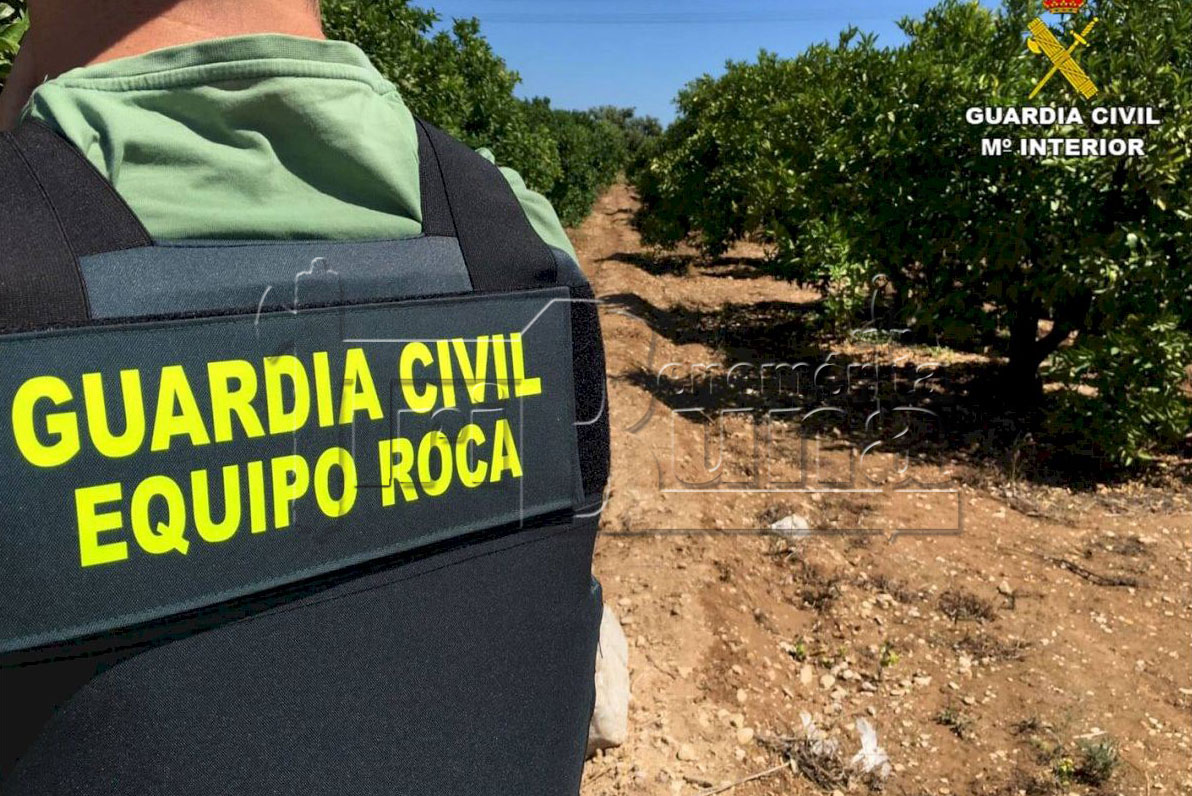 Equipo ROCA marca de agua