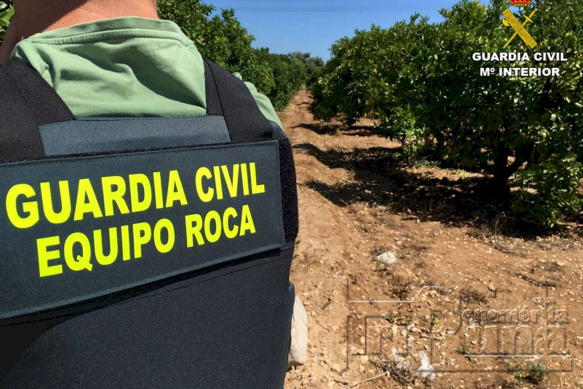 Equipo Roca Ibi