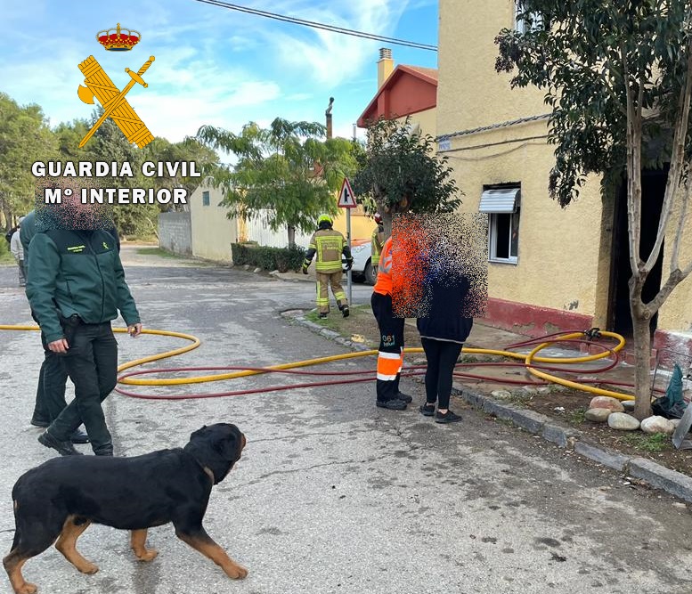 FOTO rescate perros