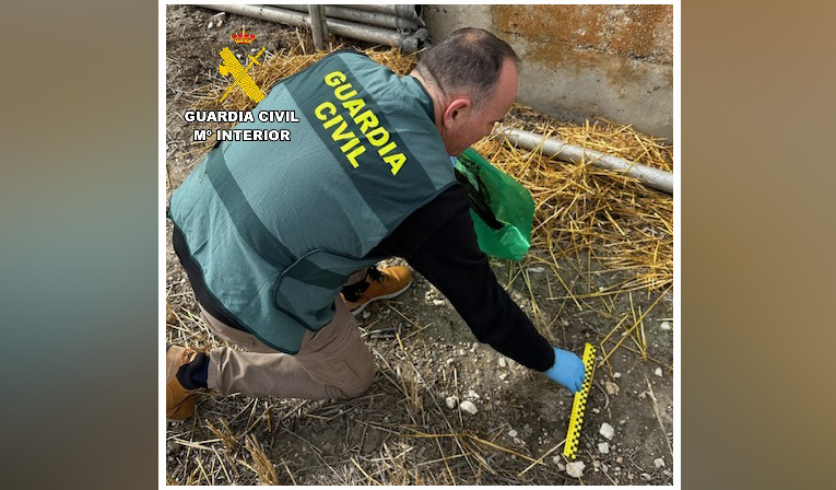 Foto palencia 130326 1