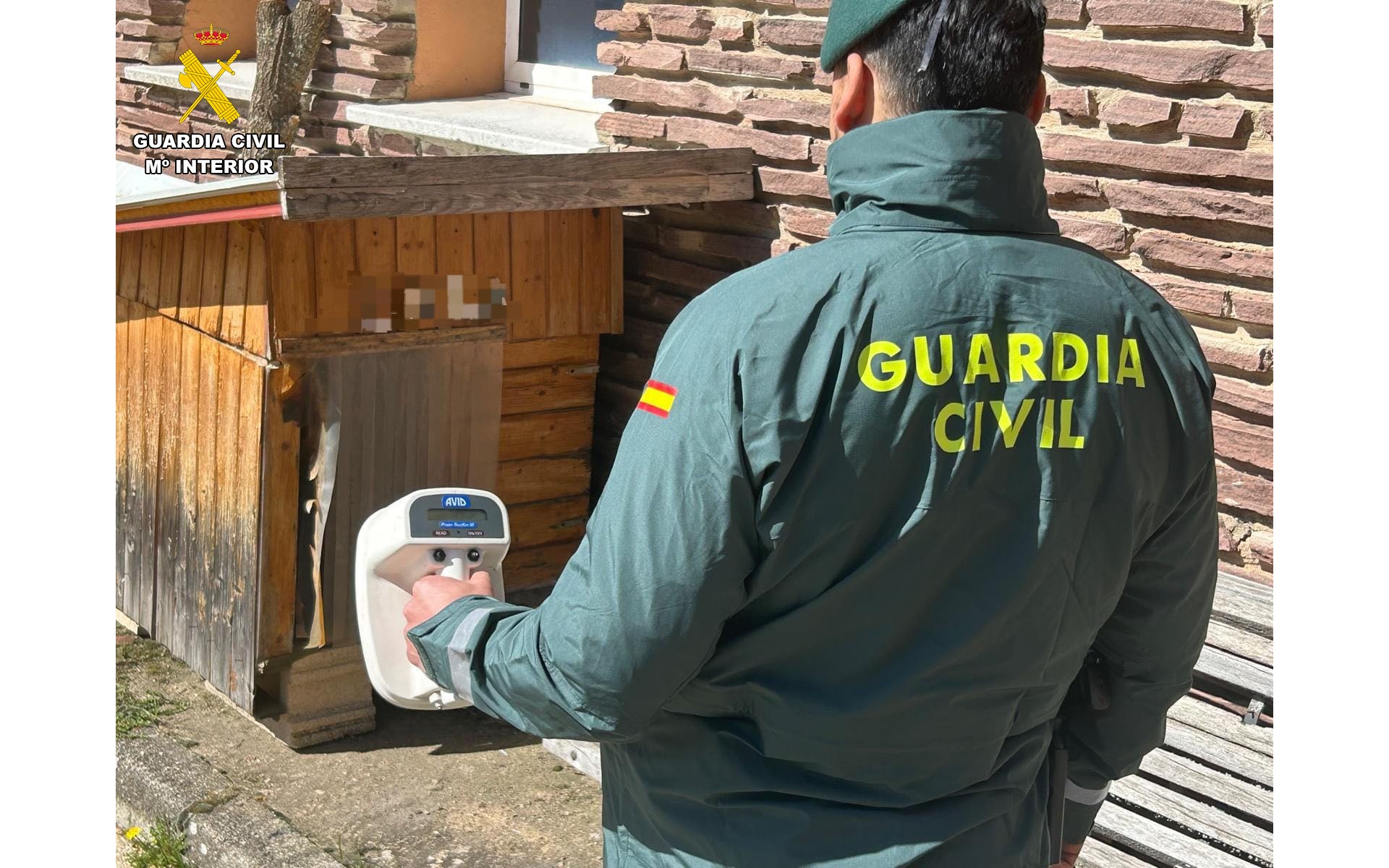 Foto maltrato 200326 1