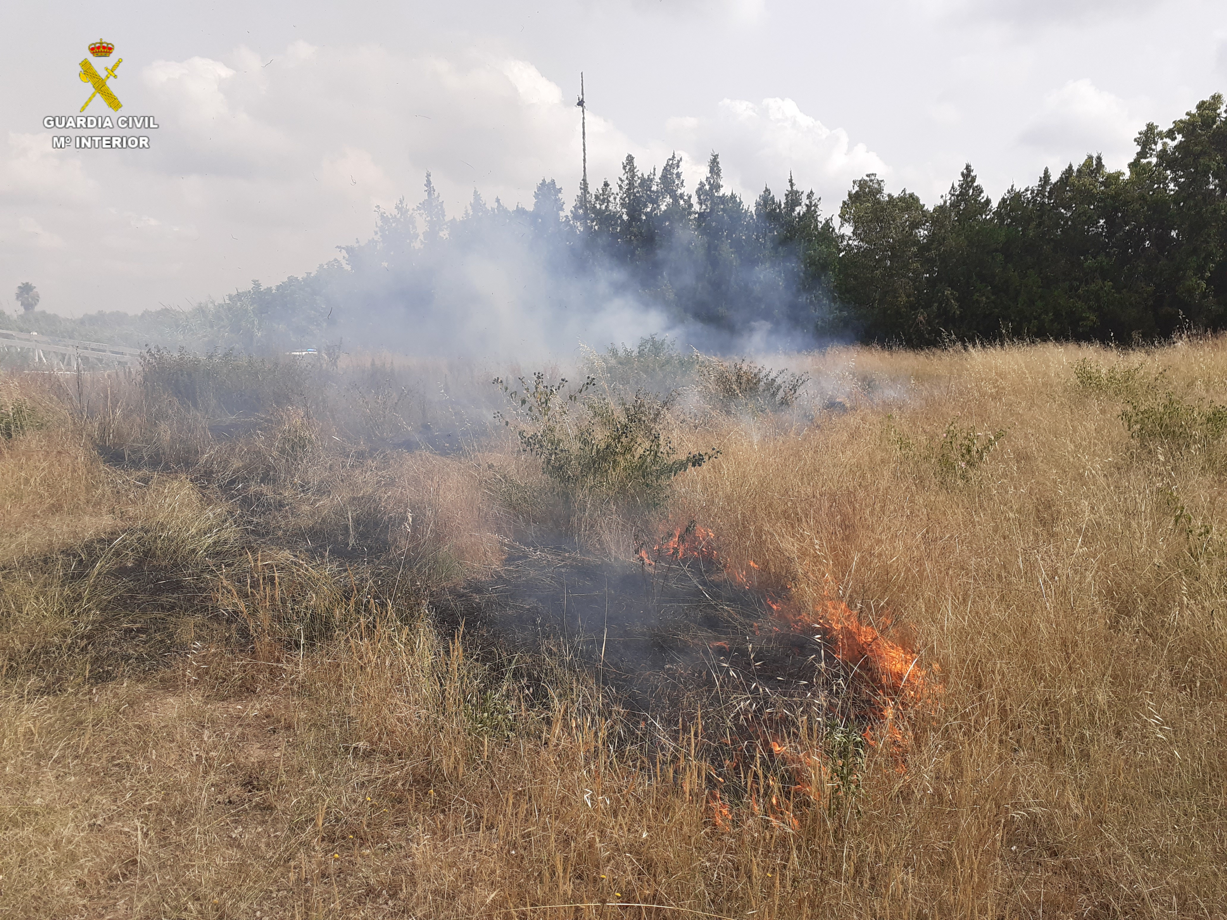 Foto valencia incendio campo