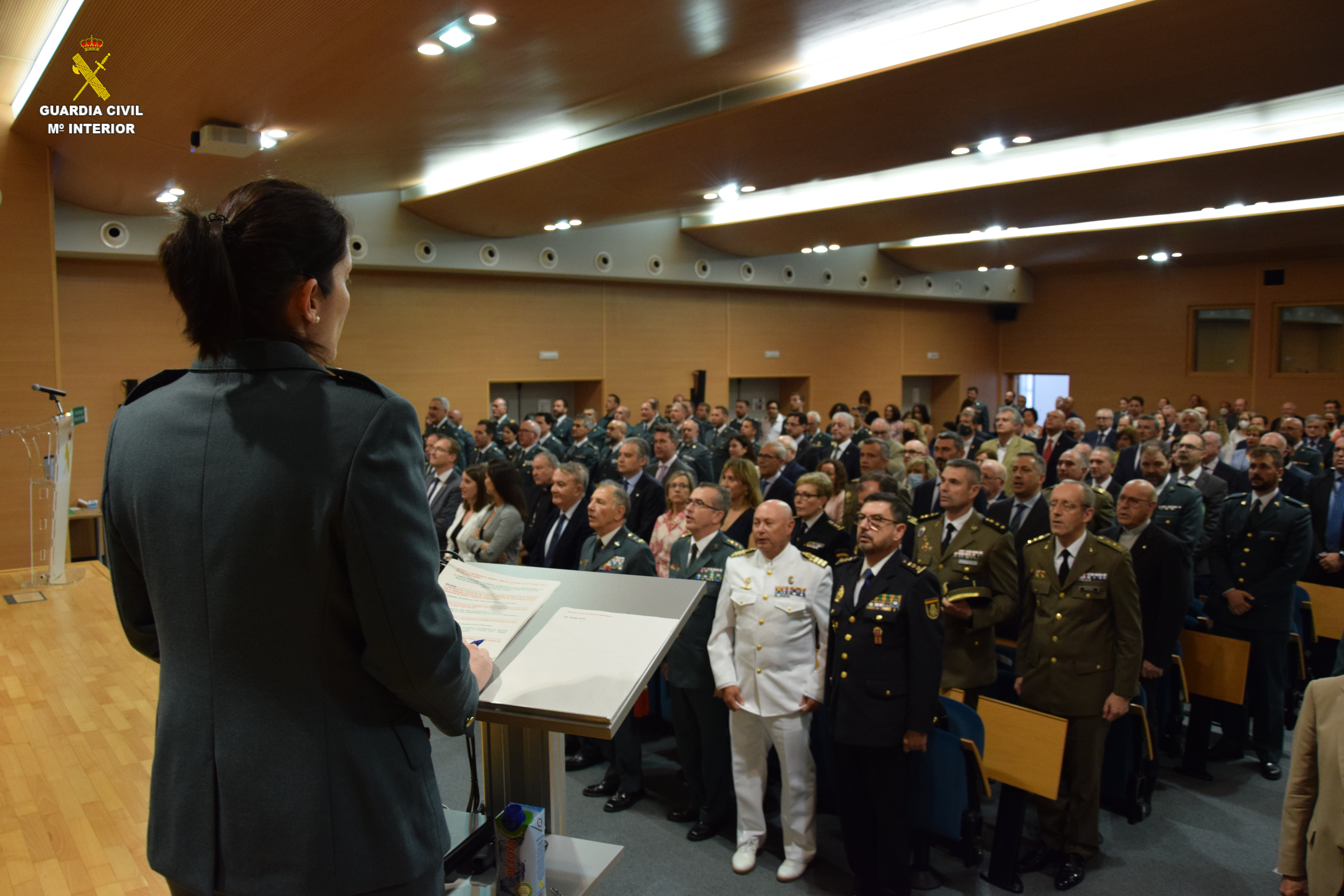 Fotografía valencia fundacion