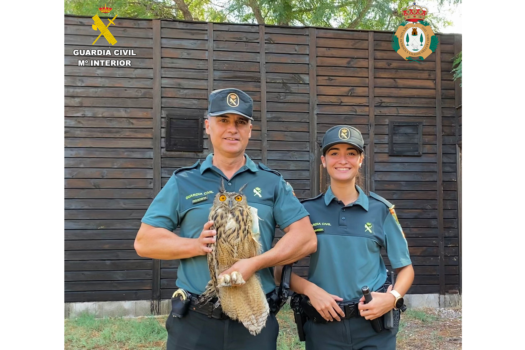Fotografía 2