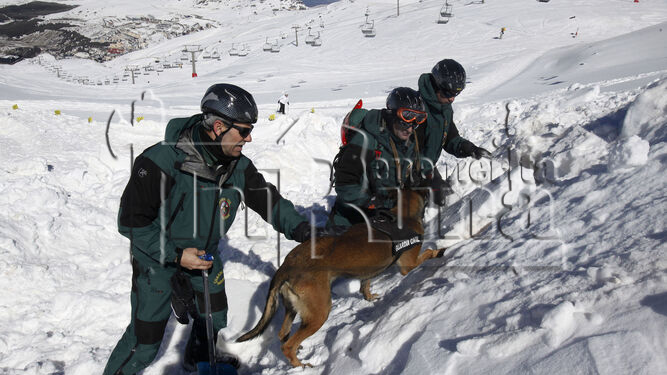 Guardia Civil montaña greim granada marca de agua