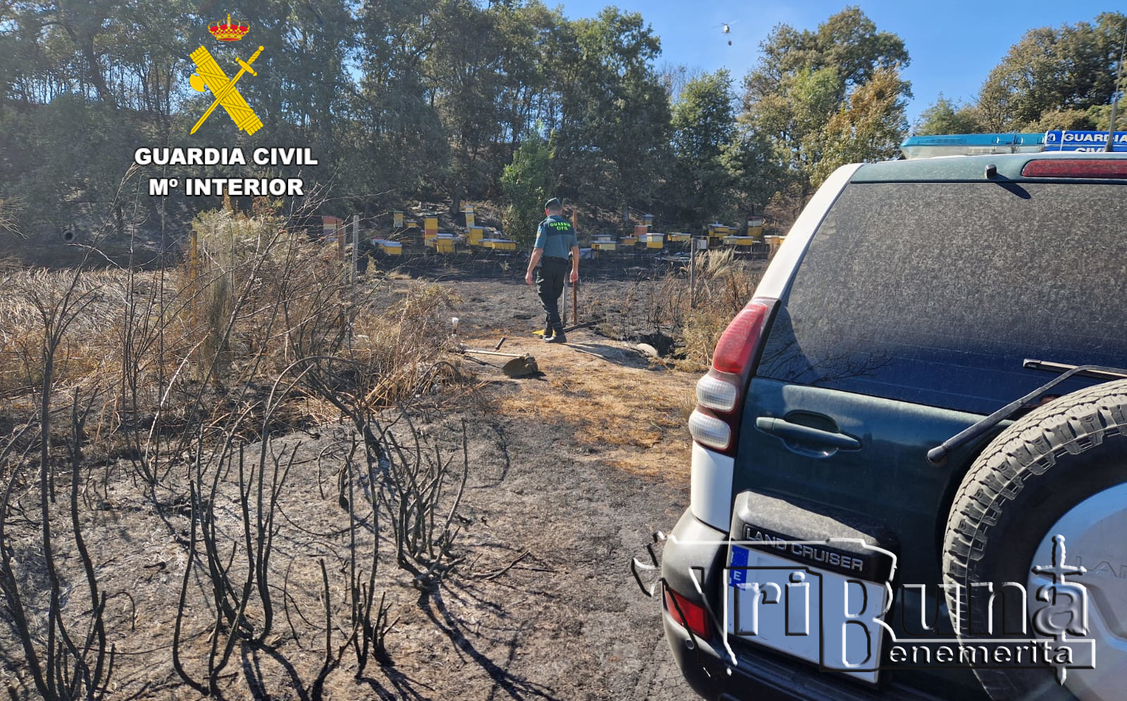 Guardia Civil. investigación incendio Brañuelas