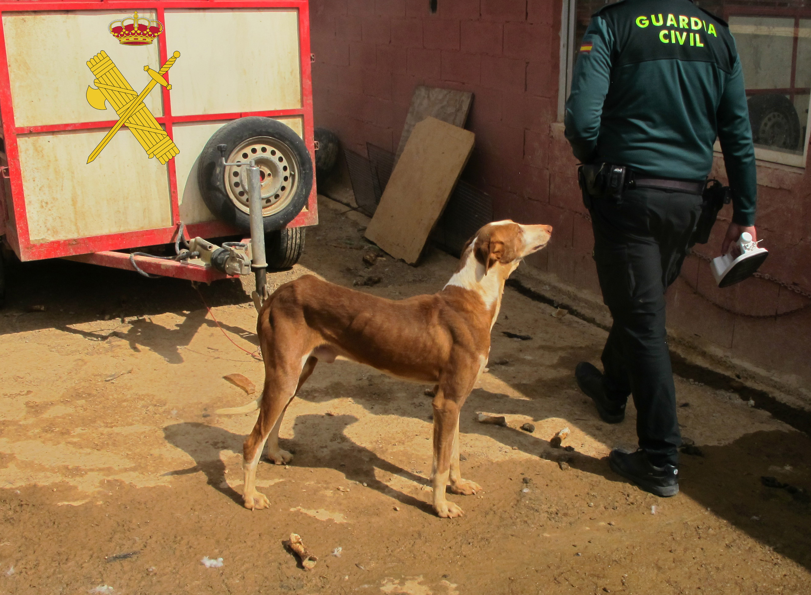 IMG 0042 copia