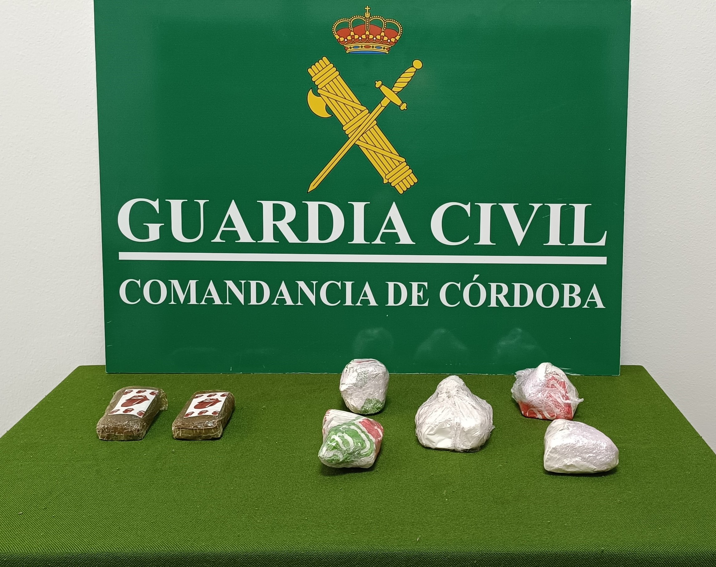 IMG 20250409 110357