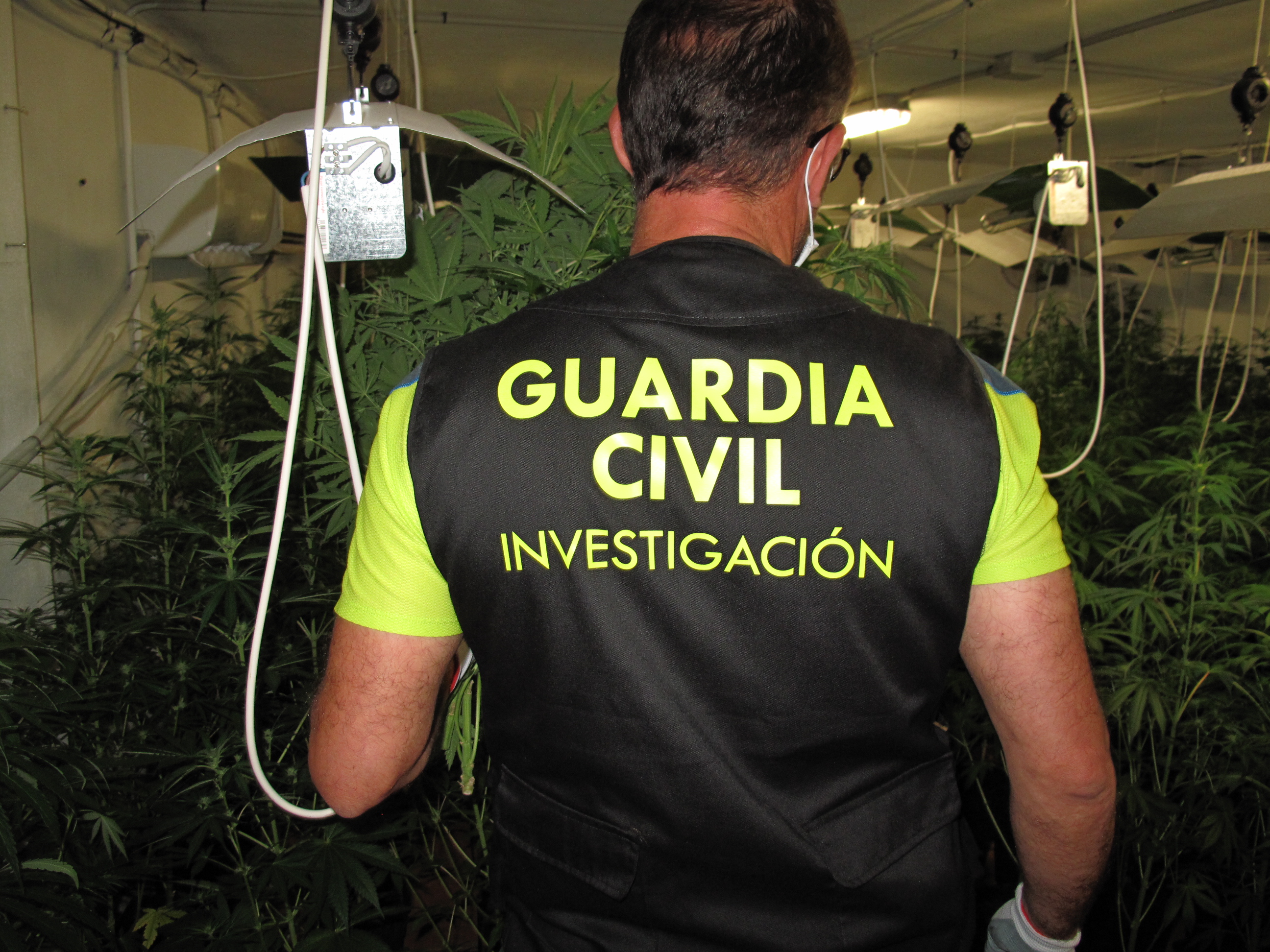 IMG 9083 investigacion