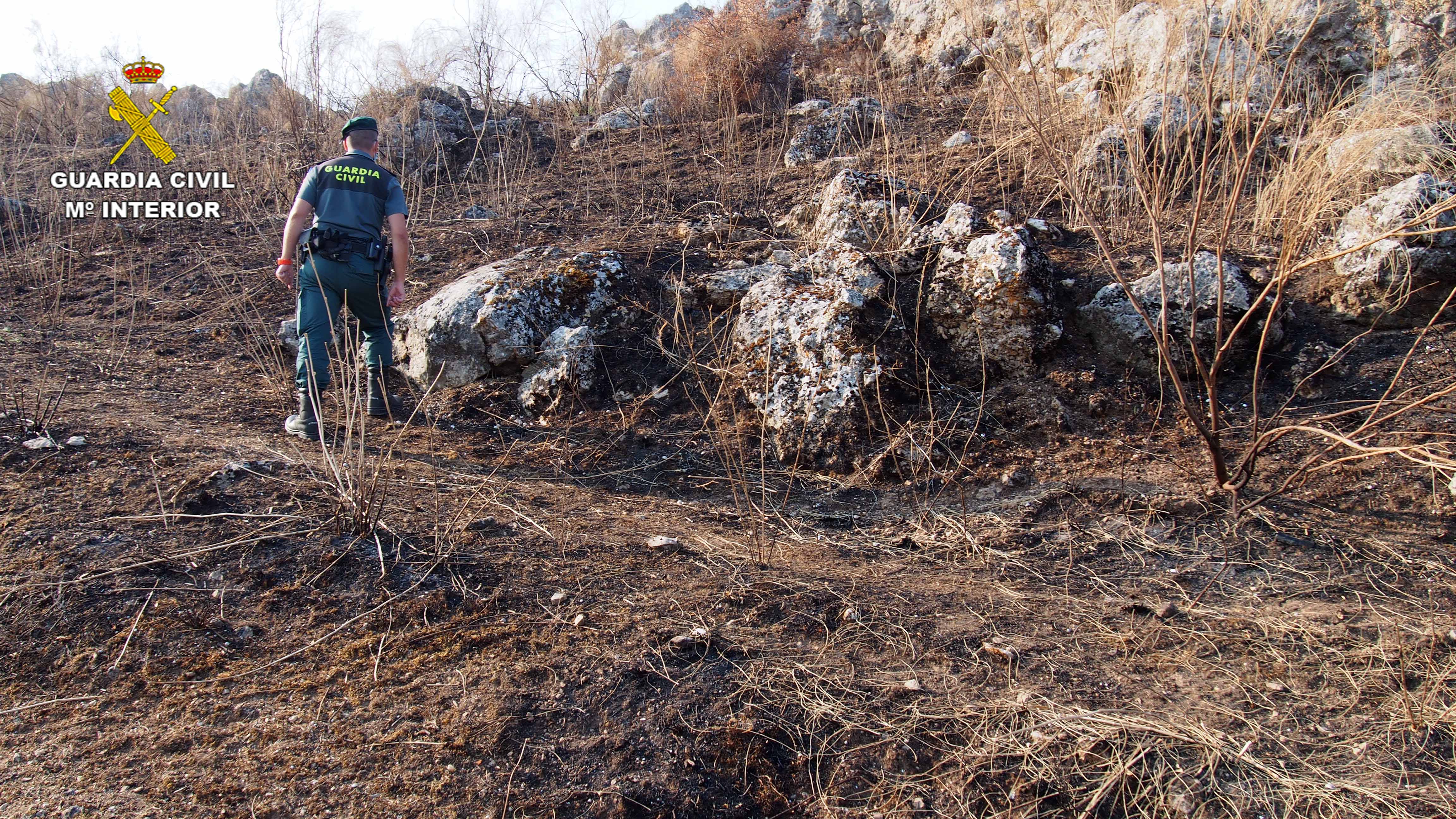 INCENDIO FORESTAL