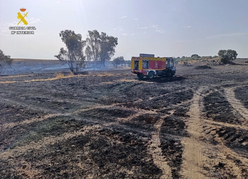 INCENDIO GRANJA 1
