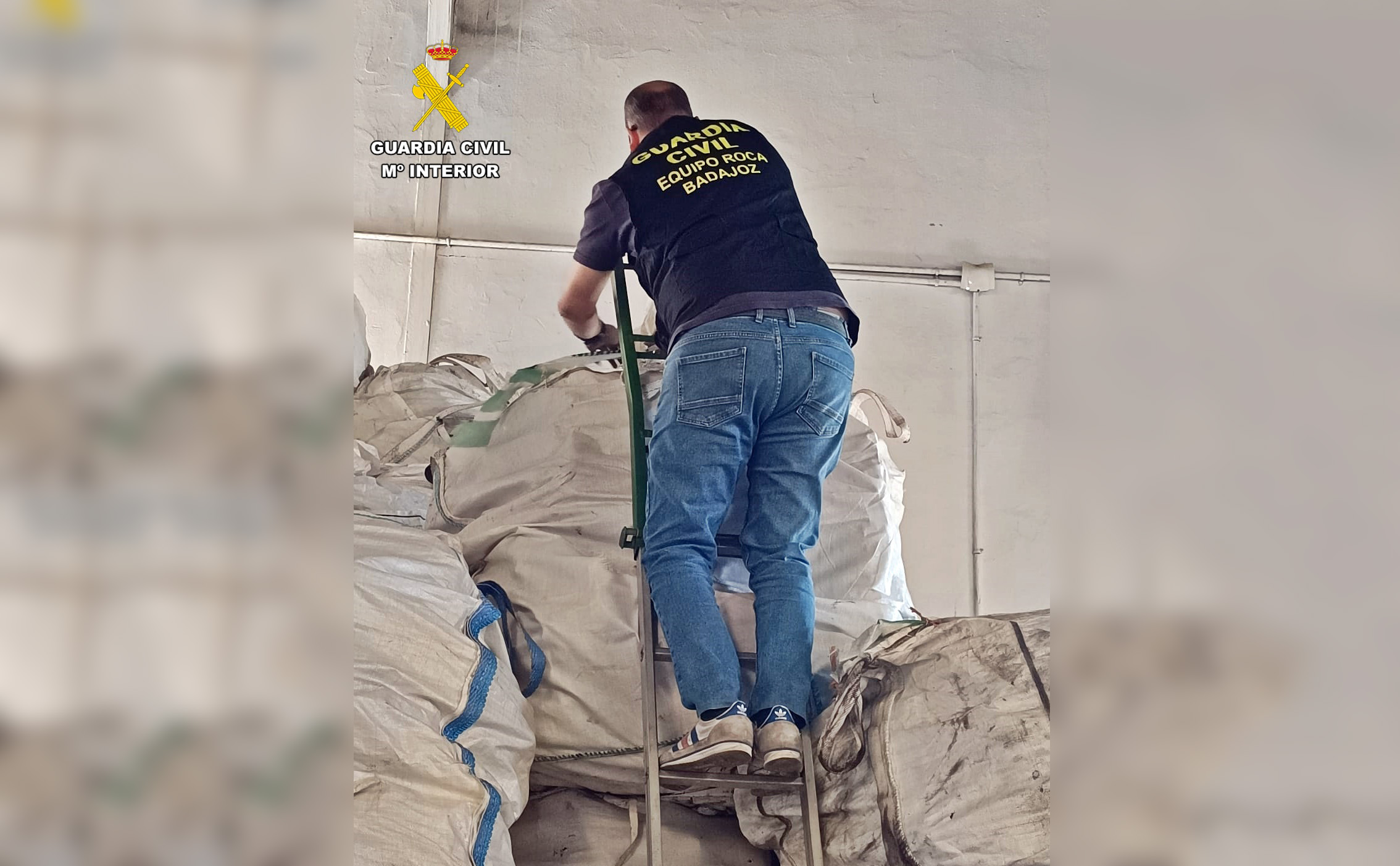 INSPECCION PUNTOS RECICLAJE 1