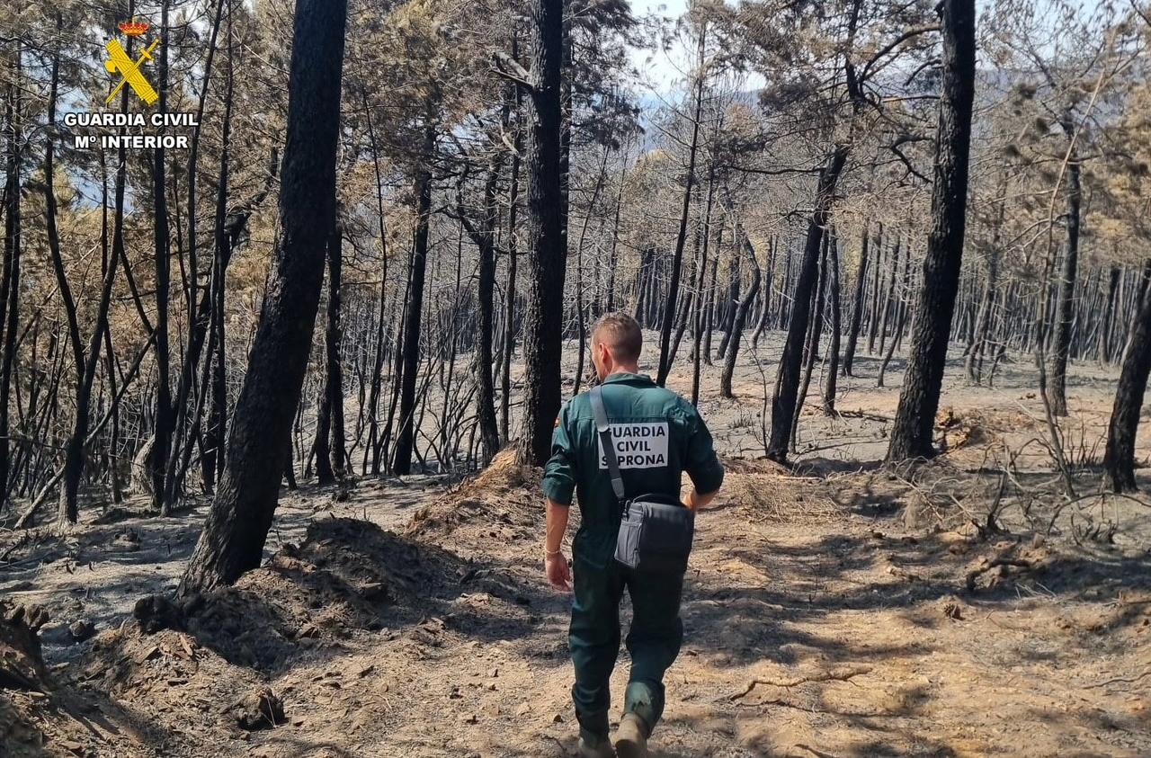 Imagen 3 seprona investigacion incendio