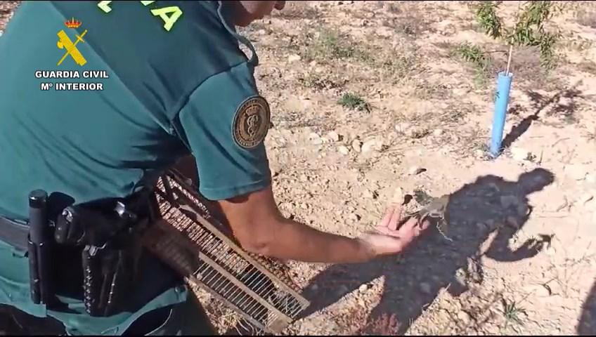 Imagen PRENSA 27 10 albacete