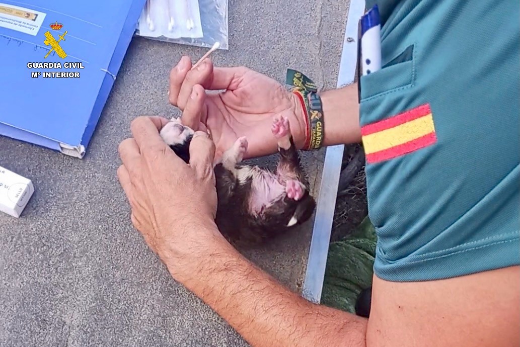 Imagen toma muestras Guardia Civil