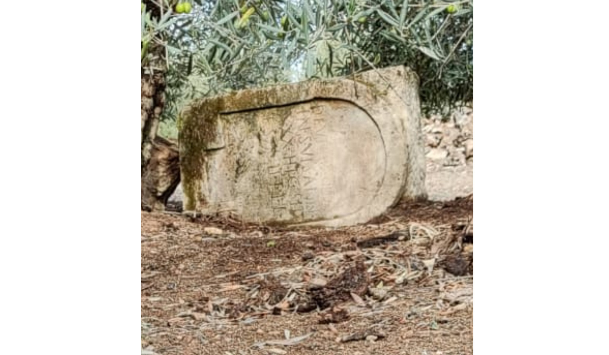 LAPIDA ROMANA