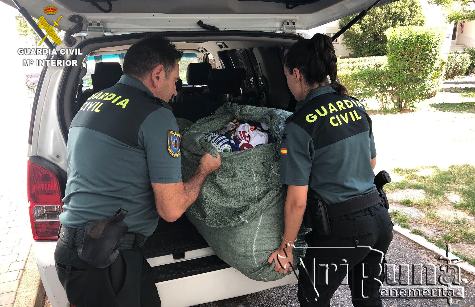 MOSCA FOTO cuenca efectos intervenidos