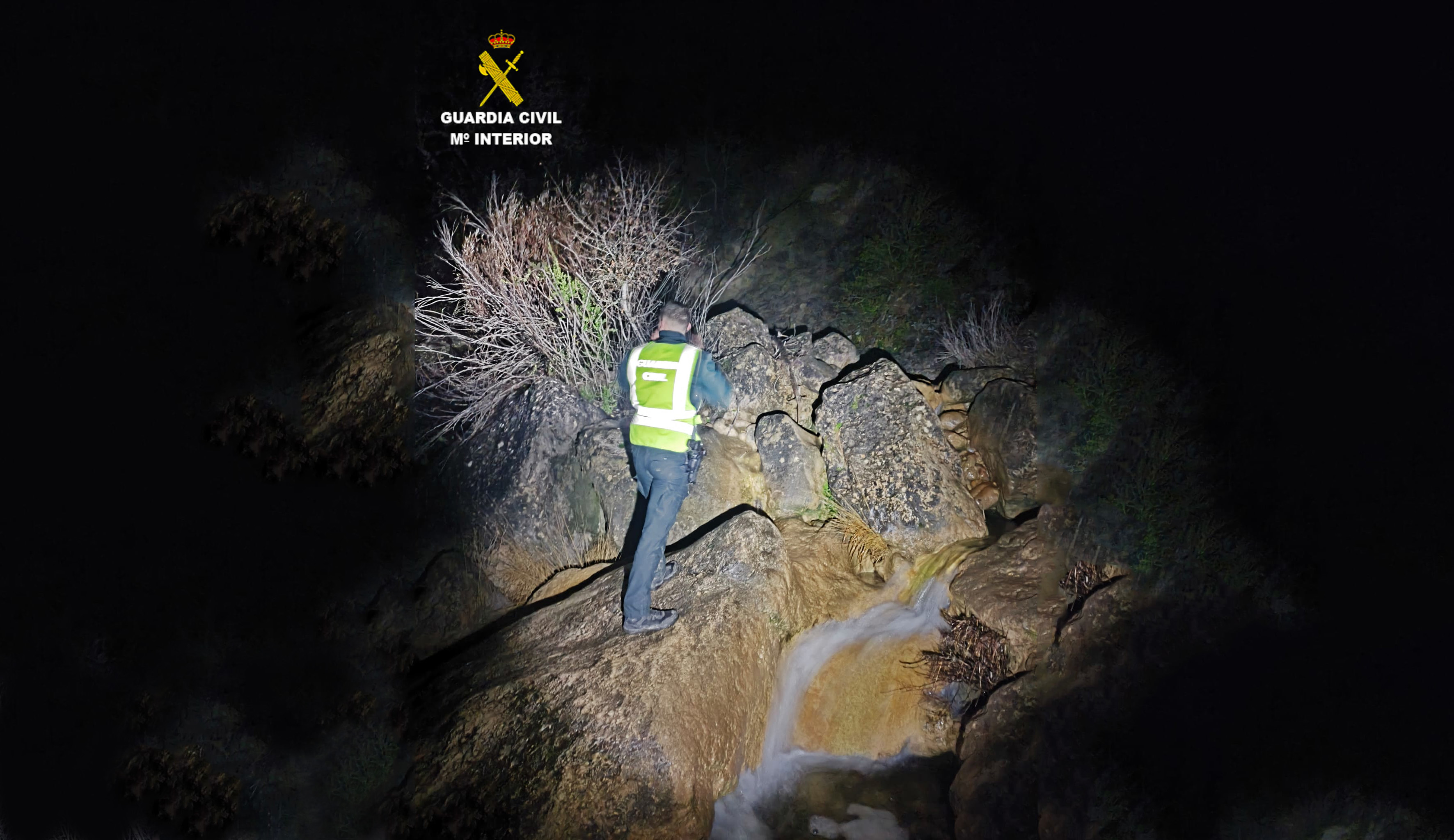 MOSCA IMG 20251213 WA0033