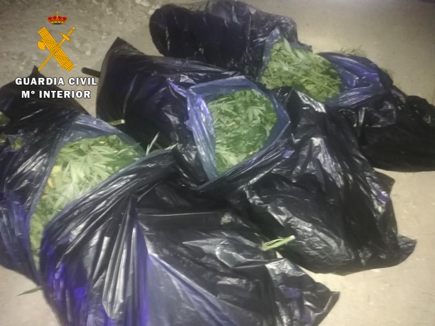 Marihuana enbolsada