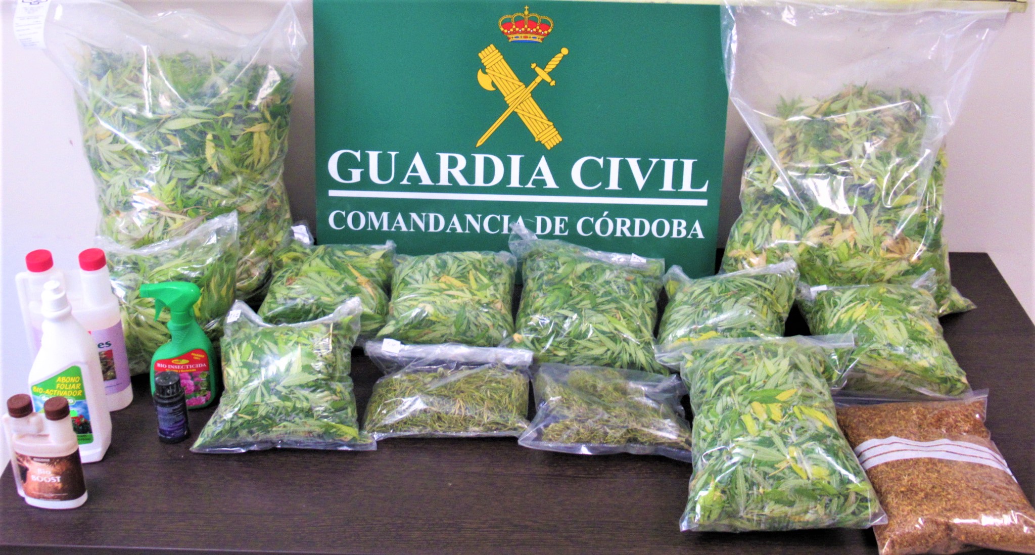 Marihuana intervenida montilla