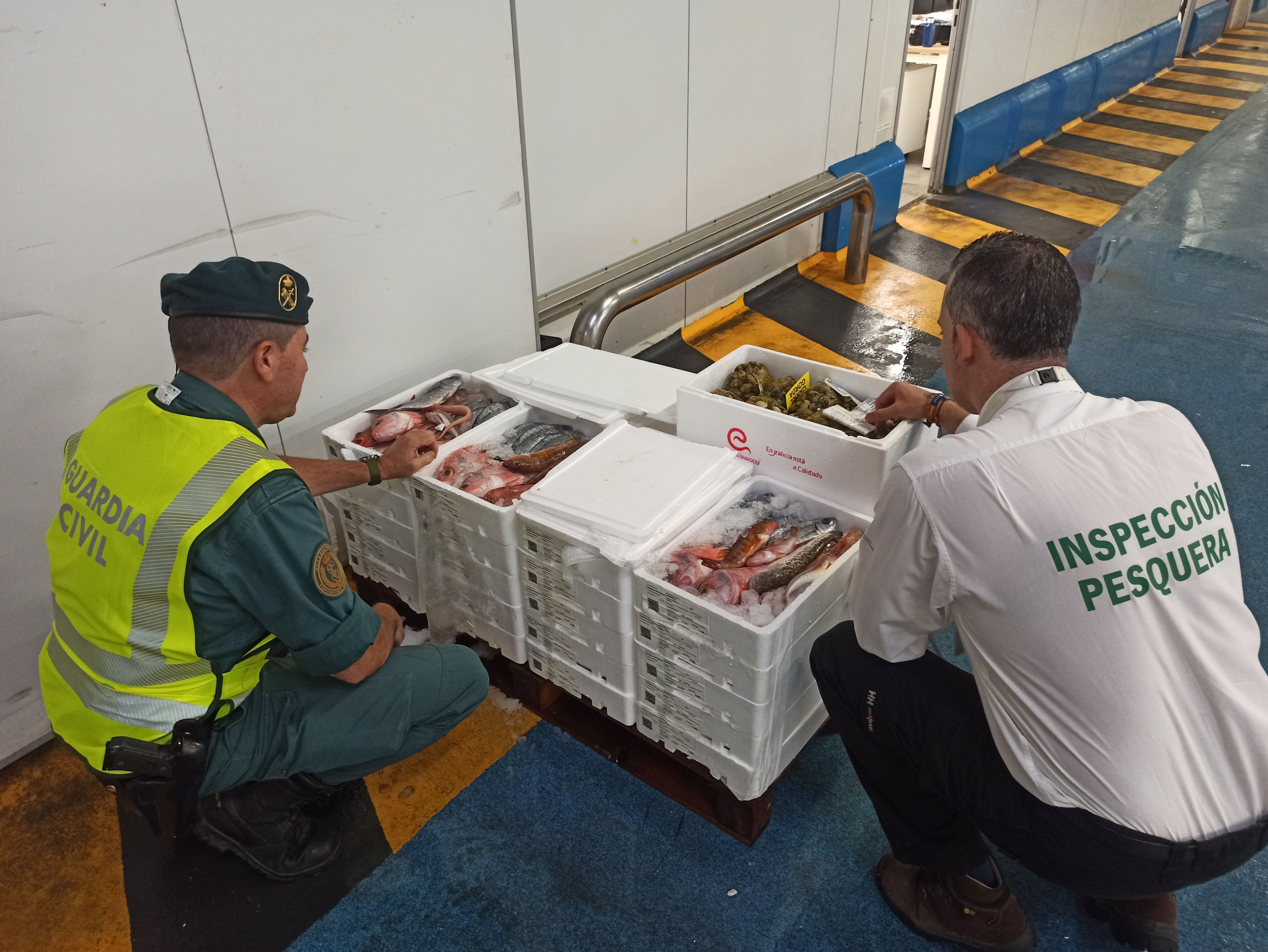 PESCADO INTERVENIDO