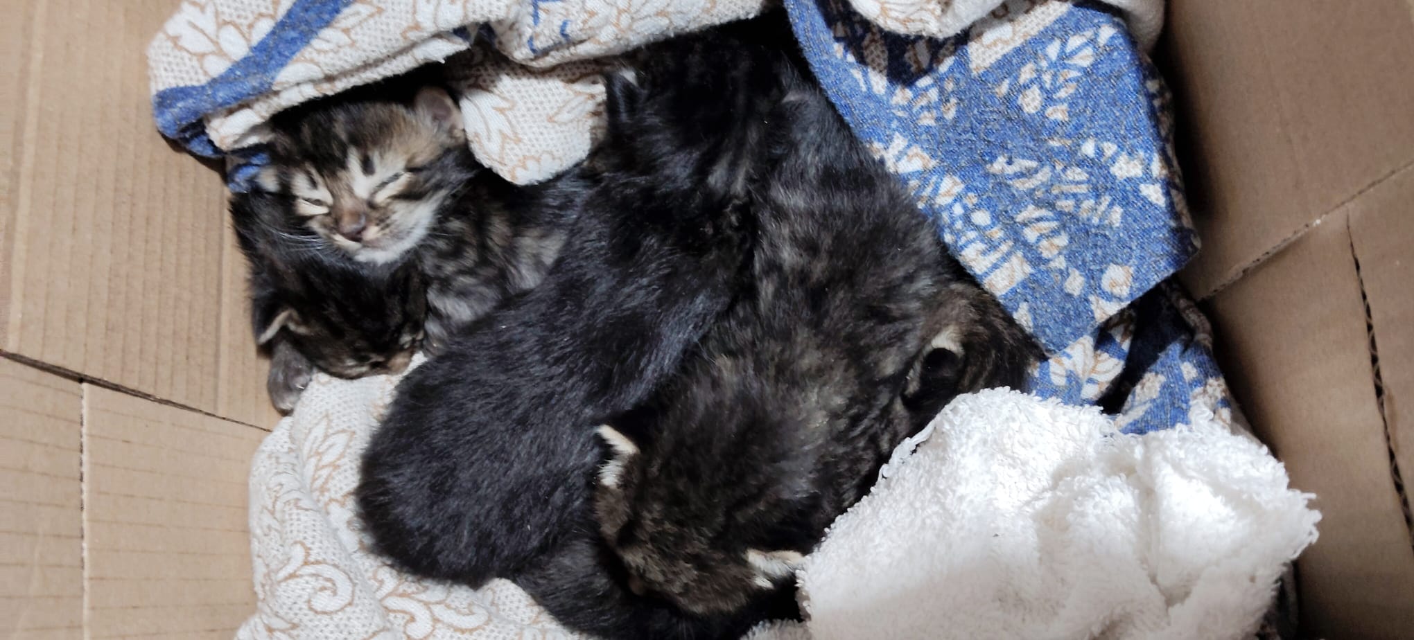PHOTO 2026 06 02 11 11 34 2