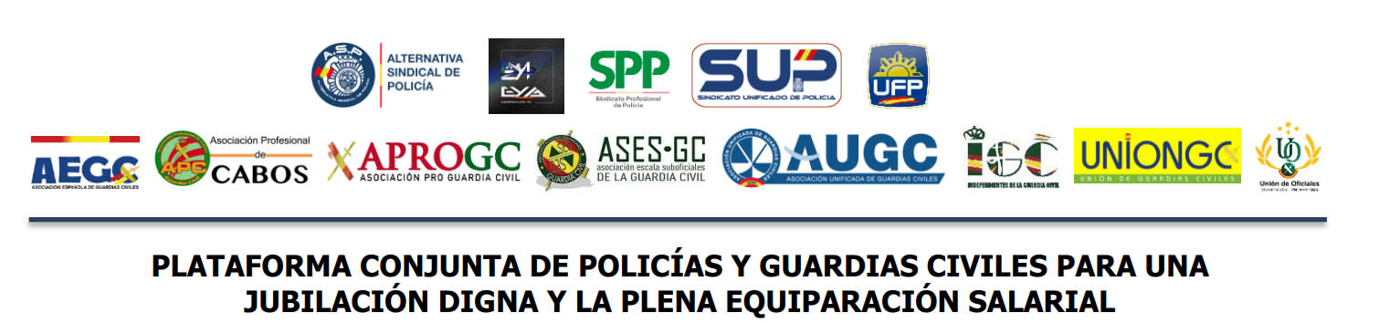 PLATAFORMA CONJUNTA