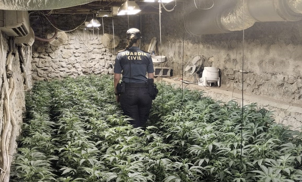 Plantacion Marihuana 250722