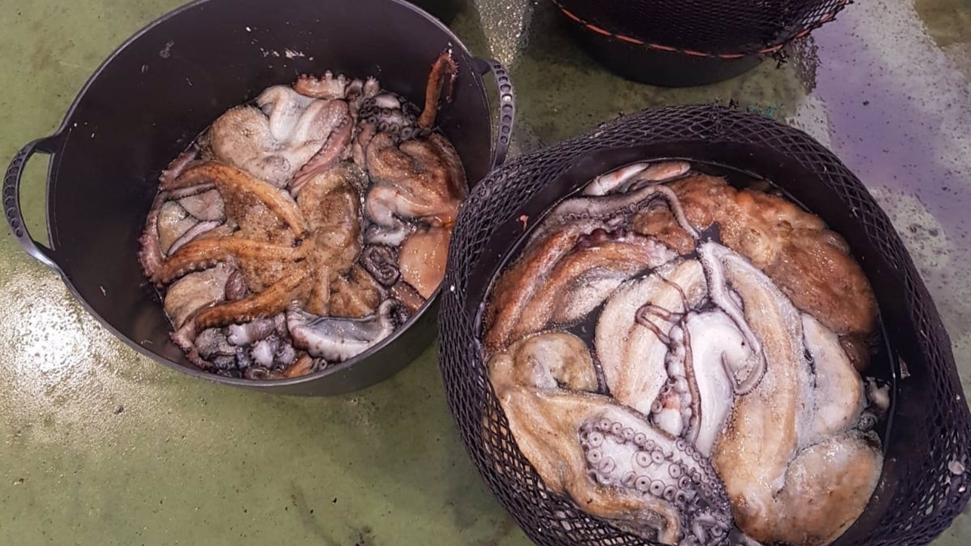 Pulpo Camarinas