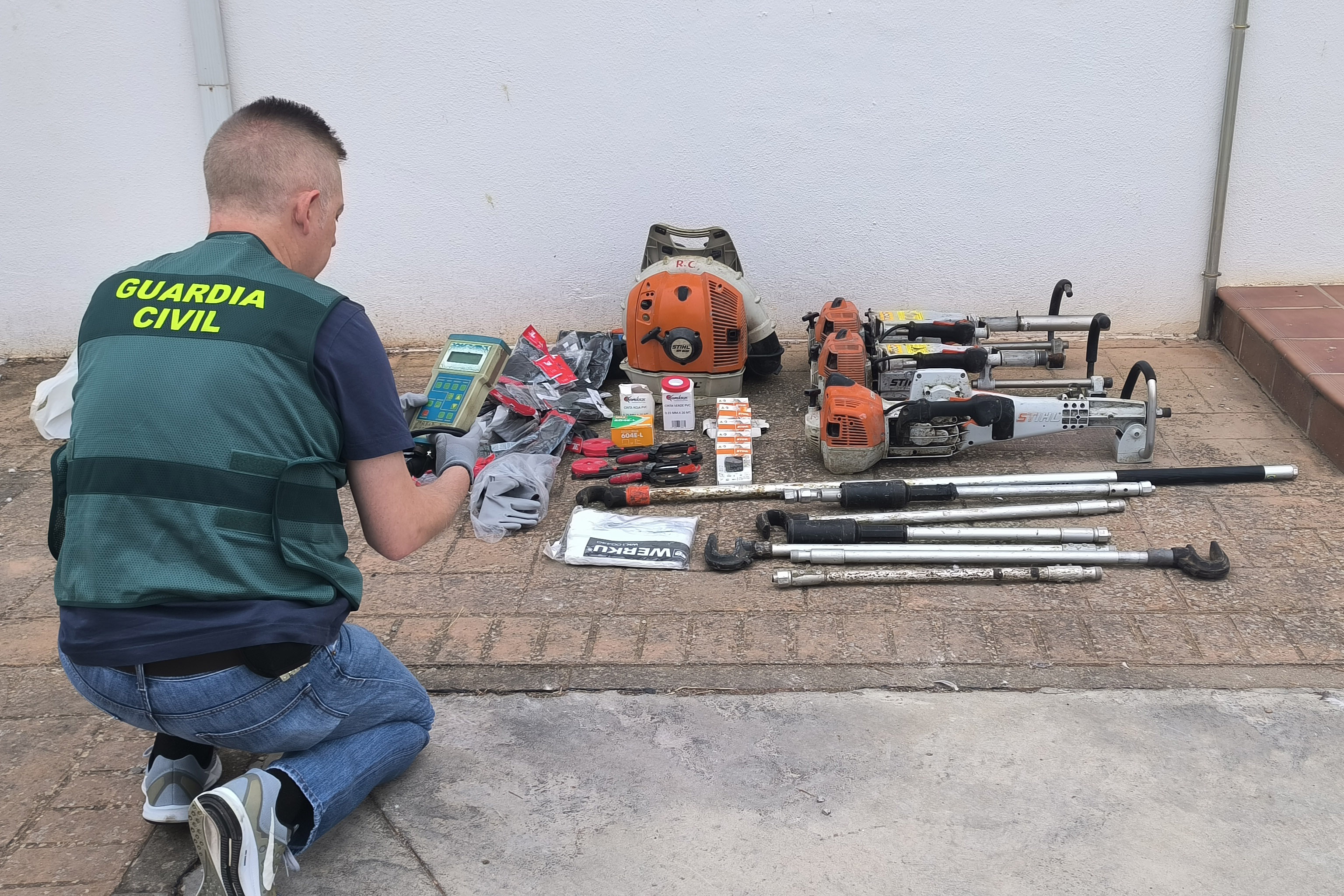 ROBOS EXPL AGR. BUJALANCE