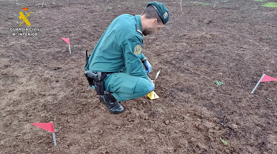 SEPRONA investigacion incendio