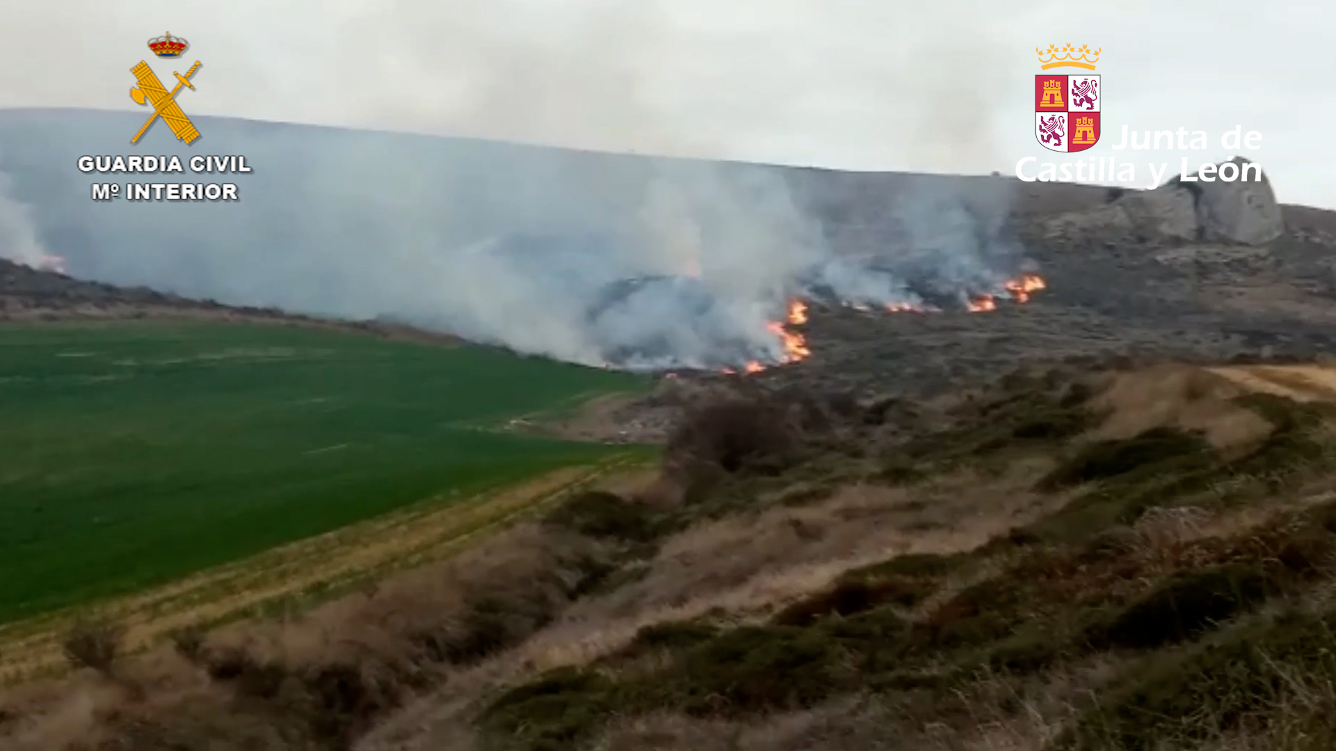 SEPRONA y JCyL INCENDIO PEÑA AMAYA