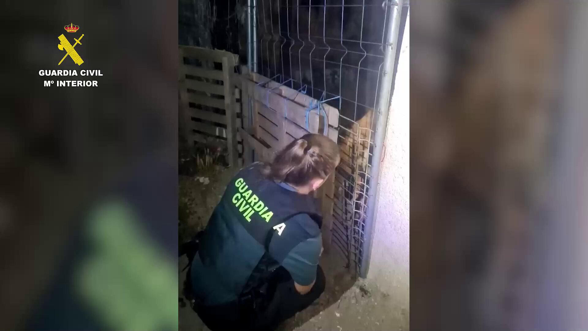 Seprona guardia civil perros