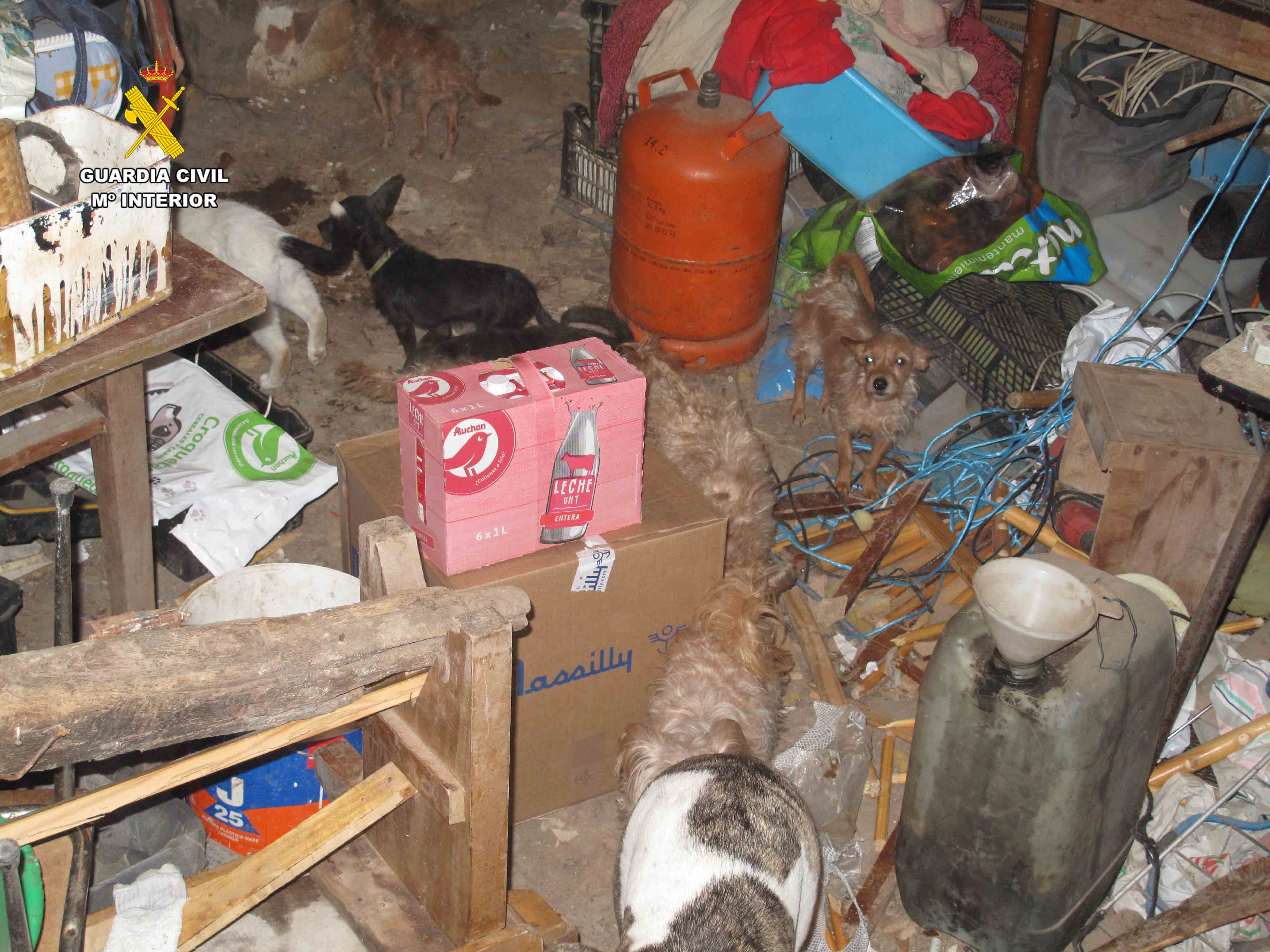 Seprona incautacion animales compañia 2