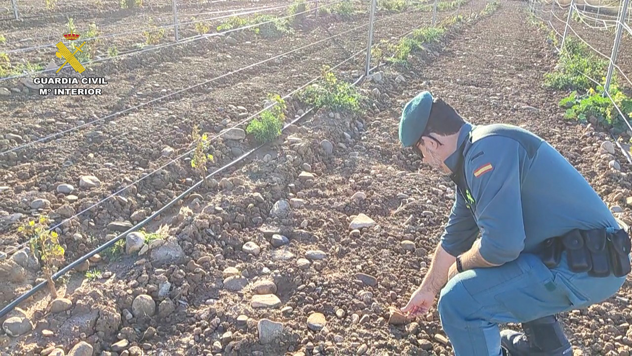 Seprona investigado daños yacimiento arqueologico 2
