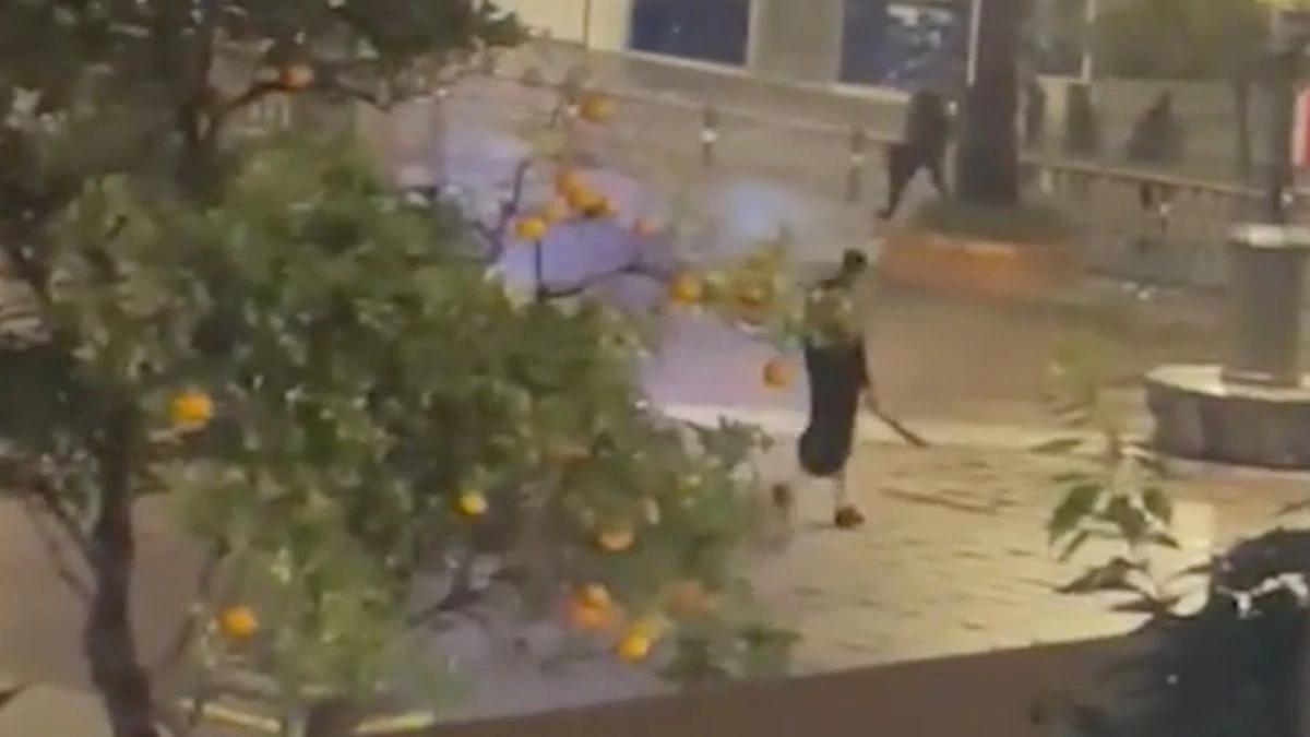 TAYIC6NNAFBADL6G5DW25L2GB4